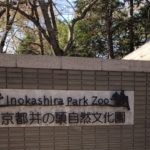 子供におすすめスポット 井の頭自然文化園を楽しむ!!