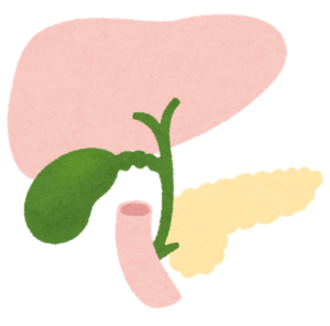 膵臓（すいぞう）がんとは？　主な症状や原因、治療方法は？