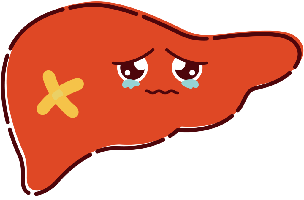 肝炎（急性・慢性・ウイルス性）、肝硬変とは？　主な症状や原因、治療方法は？