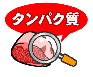 三大栄養素って何？【タンパク質とは？】