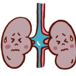 腎不全（急性・慢性）とは？　主な症状や原因、治療方法は？